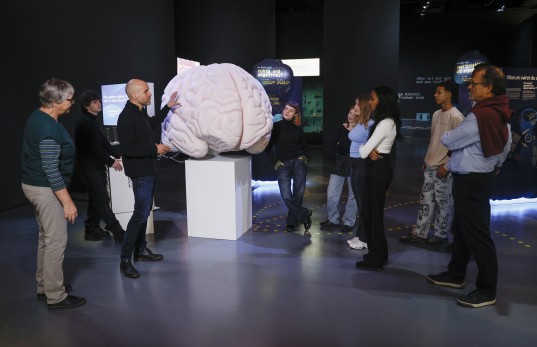 Führungsangebote und Diskussionsrunden ergänzen die Ausstellung. © Bernisches Historisches Museum, Bern. Foto: Stefan Wermuth